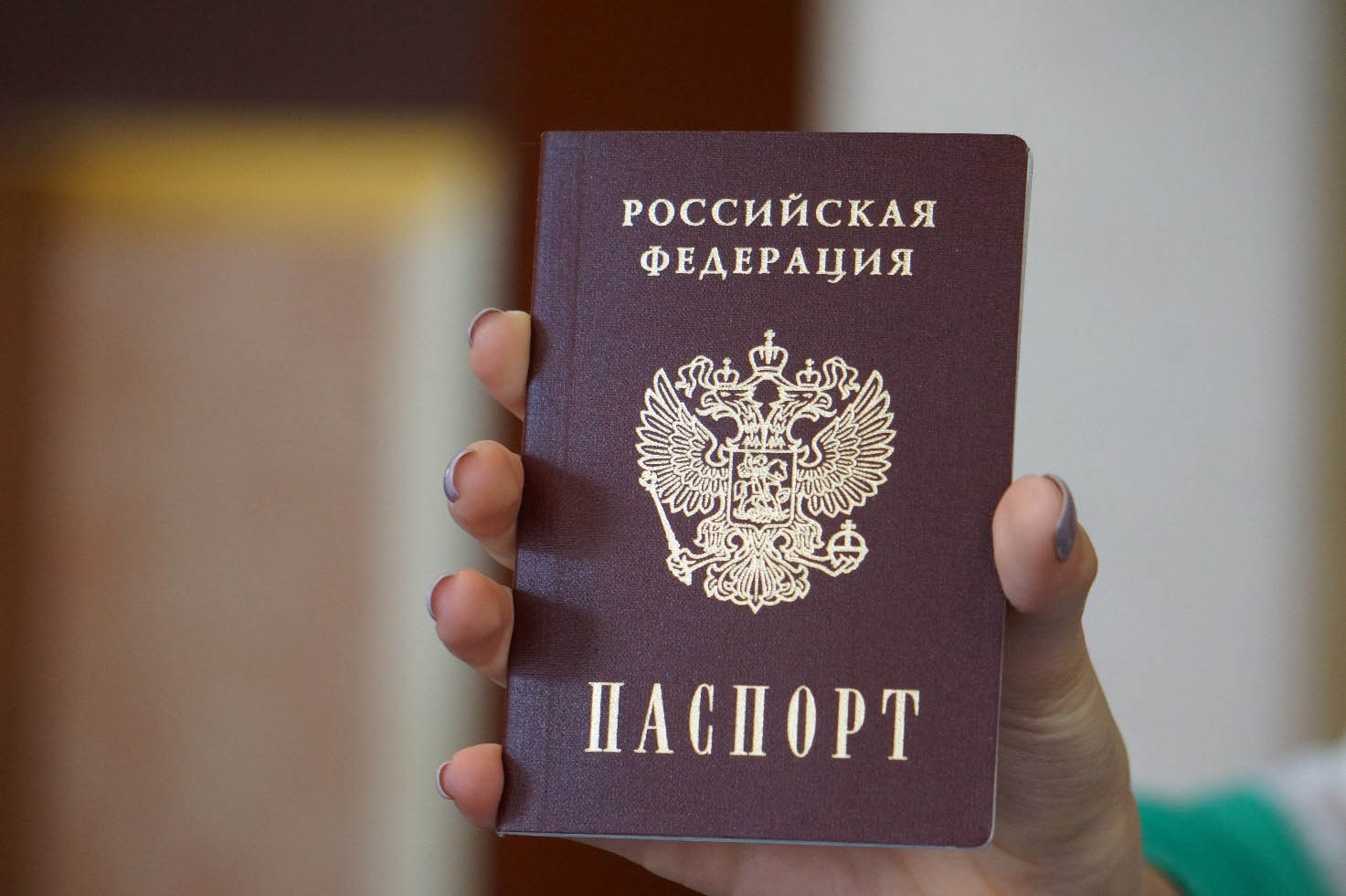 Как проверить действительность паспорта гражданина РФ