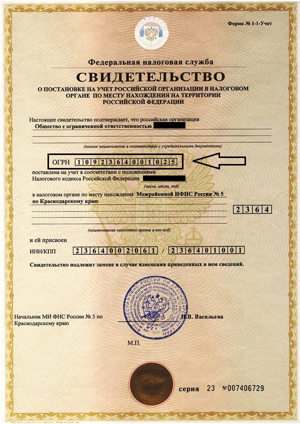 Основной государственный регистрационный номер (ОГРН)