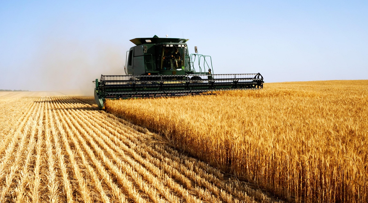 Россия нарастила объемы импорта сельскохозяйственной продукции