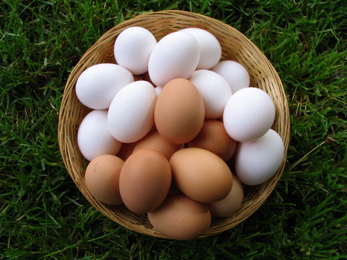 В России стали меньше производить яиц