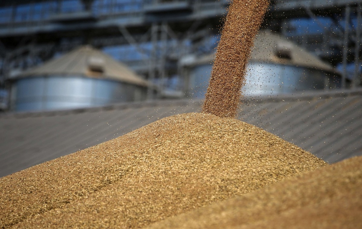 Россия нарастила экспорт зерновых в Латвию