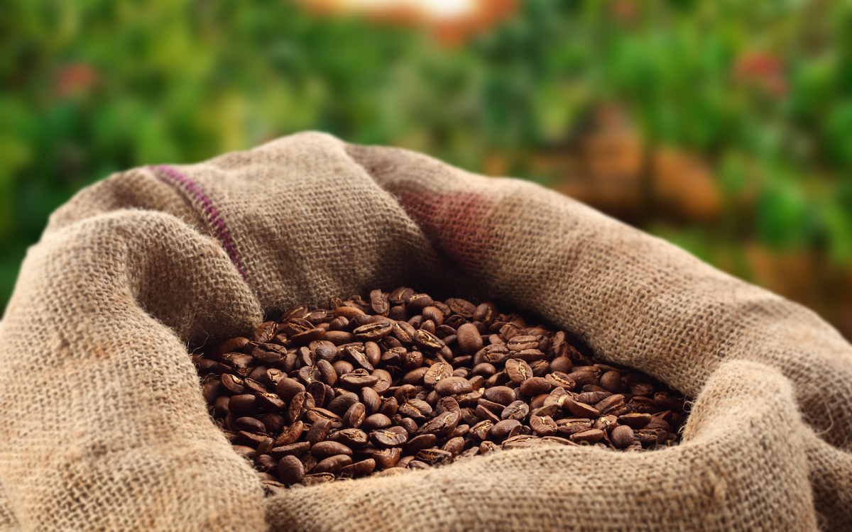 Бразилия планирует увеличить поставки кофе на территорию РФ